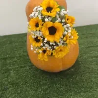 خنچه یلدا|خدمات پذیرایی، مراسم|شهرضا, |دیوار