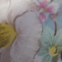 گم شده