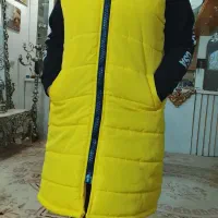 پافر زرد نو