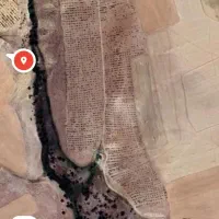 فروش 2دانگ از باغ بادام 8هکتاری  با 3هزار نهال با|فروش دفتر صنعتی، کشاورزی، تجاری|آوج, |دیوار