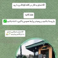 استخدام باریستا