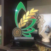 نظر گرافیک|خدمات رایانهای و موبایل|کرج, شاهینویلا|دیوار