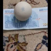 کارشناسی و خریدار سنگ های قیمتی،روحانی،جیوه،مفکات