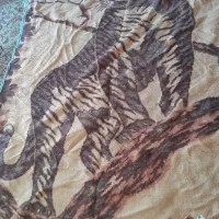 حراج پتو|رختخواب، بالش، پتو|اهواز, فاز ۵ پاداد|دیوار