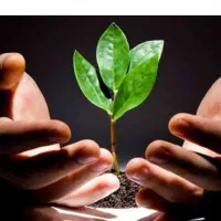 پرستار بهیار ماماو تکنسین اتاق عمل برای کلینیک mmt