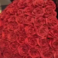 گل روبانی|گل مصنوعی|برازجان, |دیوار