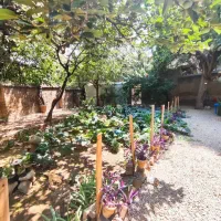 اندرزگو۲۵۰مترویلای فول بازسازی مناسب مشاغل|اجارهٔ خانه و ویلا|تهران, حکمت|دیوار