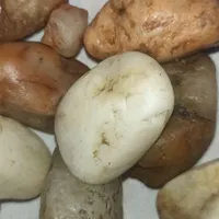 تعدادبسیار زیادسنگ راف اگات عقیق دوعددشهابسنگ|کلکسیون اشیاء عتیقه|چناران, |دیوار