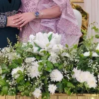 لباس عروس (با قیمت یک لباس عروس ، سه تا لباس بخر)|لباس|فردیس, قریشی|دیوار