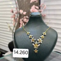 گردنی یک درصد