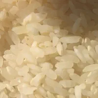 برنج کامفیروزی  اصل