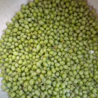 غوره|خوردنی و آشامیدنی|زنجان, |دیوار
