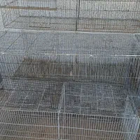جوجه پرون