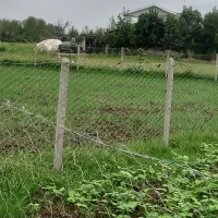 زمین ۲۵۰ متری باغی دور فنس|فروش زمین و ملک کلنگی|رشت, آب و برق|دیوار