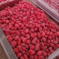 زرشک فقط امروزکیلویی 200|خوردنی و آشامیدنی|مشهد, شهرک بهارستان|دیوار