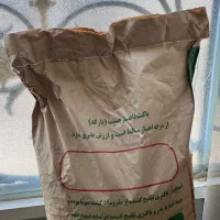 بذر سویا رقم باران