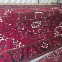 فرش ۹متری|فرش|اهر, |دیوار