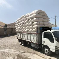 کاه گندم سفید