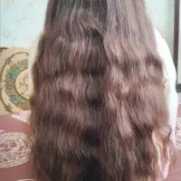 موهای بانوان عزیز با بالاترین قیمت