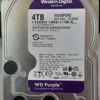 هارد 4ترا بنفش وسترن سلامت 100