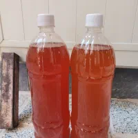 فروش آبغوره ی تازه|خوردنی و آشامیدنی|تهران, فلسطین (میدان انقلاب)|دیوار