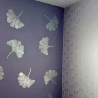 رنگ آمیزی ساختمانی تک