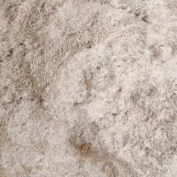 کاه درجه یک فروش نقد ارسال به سراسر کشور