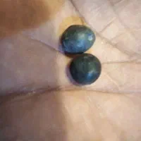 یک جفت مهره گبری|کلکسیون اشیاء عتیقه|شوشتر, |دیوار