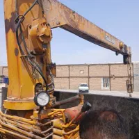 جرثقیل ضد اف ۲ تن نیسانی|خودرو سواری و وانت|مشهد, ترمینال|دیوار