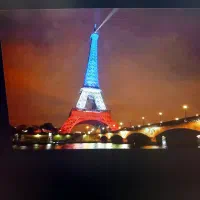 واگذاری سایت فرانسوی و دامنه دامین