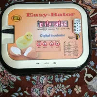 دستگاه جوجه کشی ایزی باتور6|ماشین‌آلات صنعتی|آمل, |دیوار