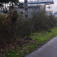 زمین|فروش زمین و ملک کلنگی|اطاقور, |دیوار