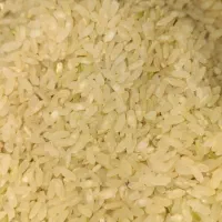 برنج کامفیروزی چمپا