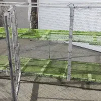 قفس دوطبقه چرخدار|پرنده|ایلام, |دیوار