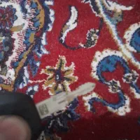 سویچ موتور بنلی گم کردم
