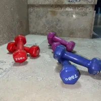 سه جفت دمبل ۷۵۰ گرمی