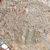 نان خانگی با ارد بومی|خوردنی و آشامیدنی|اصفهان, لاله|دیوار