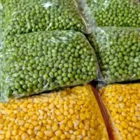 پاک کردن لوبیا سبز نخودفرنگی....