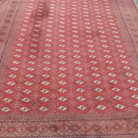 فرش دستباف ۶ متری|فرش|گرگان, |دیوار