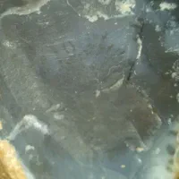 عقیق شجر دار|کلکسیون اشیاء عتیقه|شیراز, کوشک میدان|دیوار