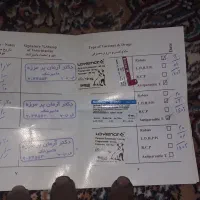 واگزارییکقلادهسگشیتزو|سگ|آزادشهر, |دیوار