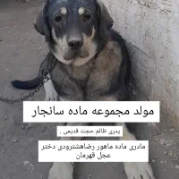 بعلت جمع آوری