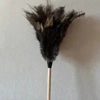 گردگیر پر شترمرغ (عمده و تک)|لوازم نظافت|قم, زنبیل آباد|دیوار