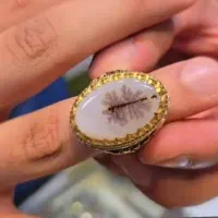 انگشتر شجر تک دخت گل زرد