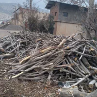 خرید درخت و چوب ساختمانی سقفی وضایعاتی|خدمات باغبانی و درختکاری|ایلام, |دیوار