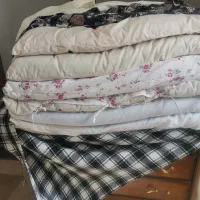 پشم اصلی و خانگی