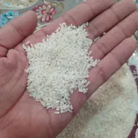 پخش برنج وسرلاشه ونیمدانه