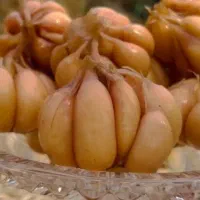 سیر ترشی ارگانیک