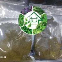 برگ مو برگ دلمه
