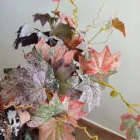 کوله پشتی وبقیه|کیف، کفش، کمربند|ابهر, |دیوار